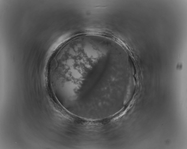 X0000091550343200708171310