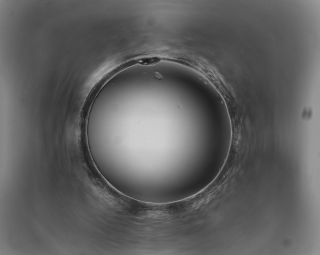 X0000091550344200708171310