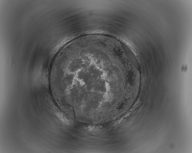 X0000091550345200708171310