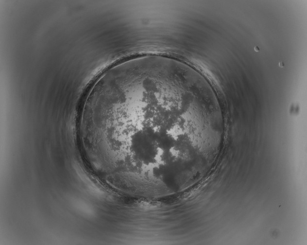 X0000091550346200708171310