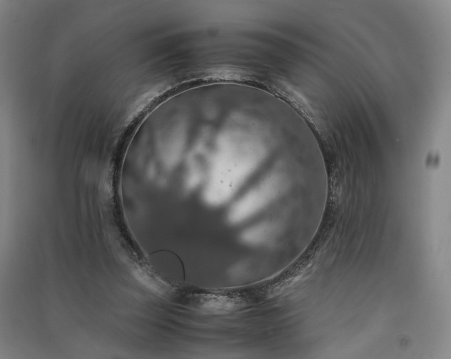 X0000091550347200708171310