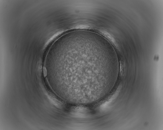 X0000091550348200708171310
