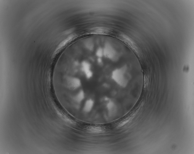 X0000091550349200708171310