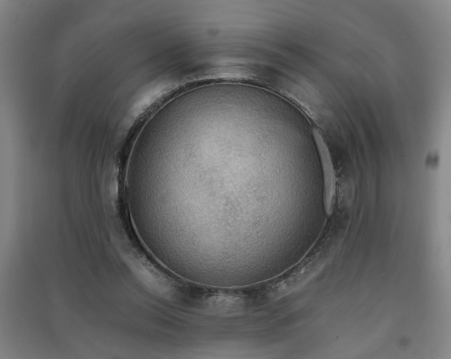 X0000091550350200708171310