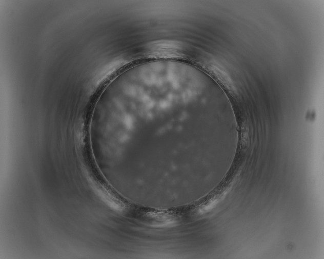 X0000091550351200708171310