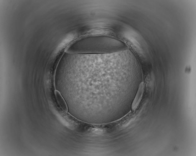 X0000091550352200708171310