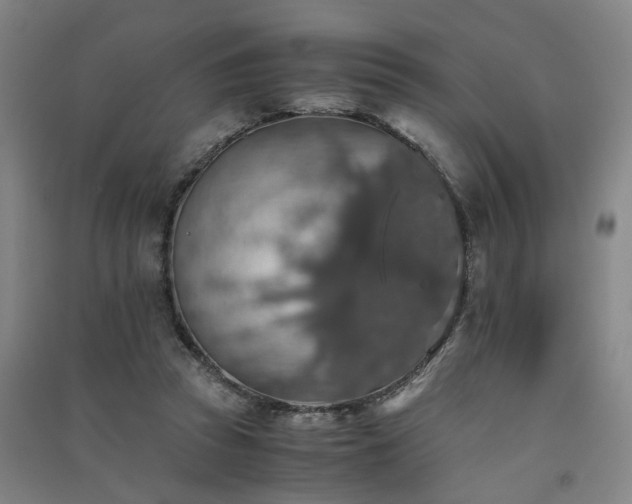 X0000091550353200708171310