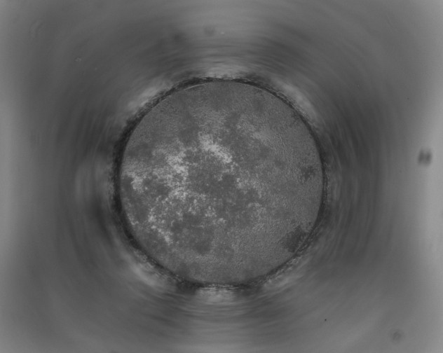 X0000091550354200708171310