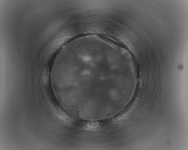 X0000091550355200708171310