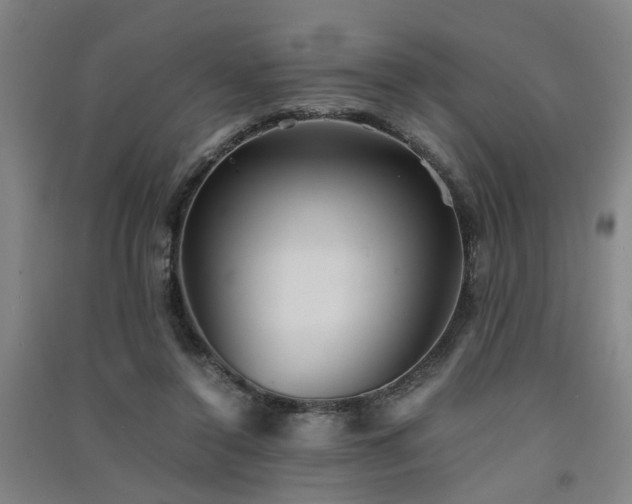 X0000091550356200708171310
