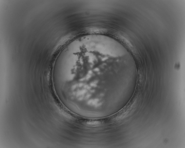 X0000091550357200708171310