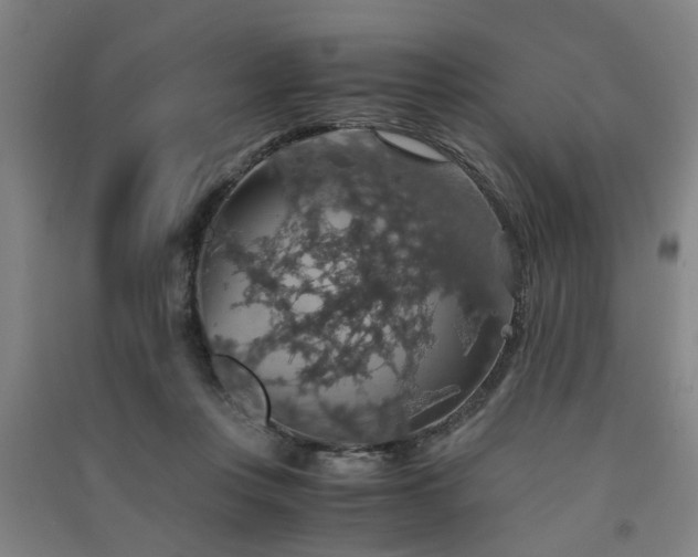 X0000091550359200708171310