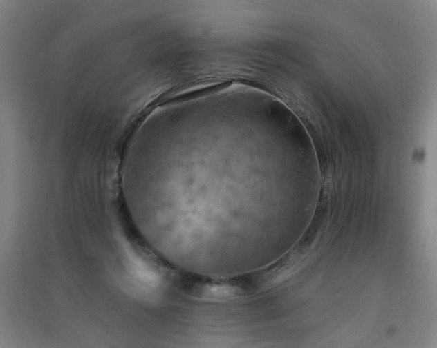 X0000091550360200708171310