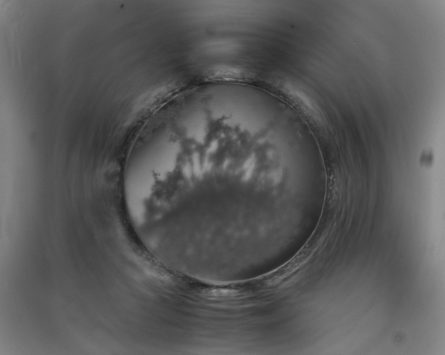 X0000091550361200708171310