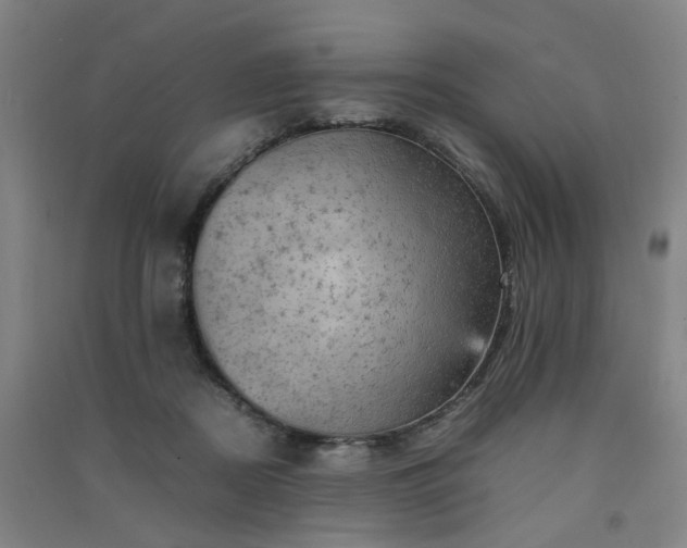 X0000091550362200708171310