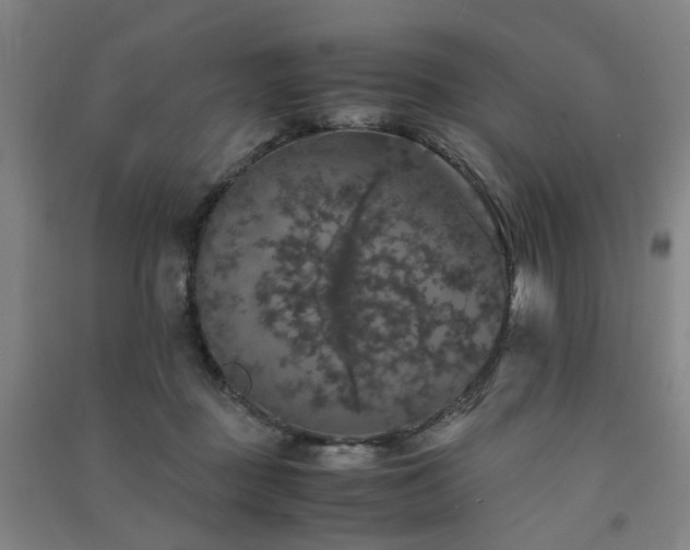 X0000091550363200708171310