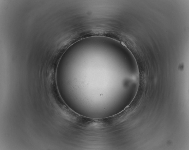 X0000091550364200708171310