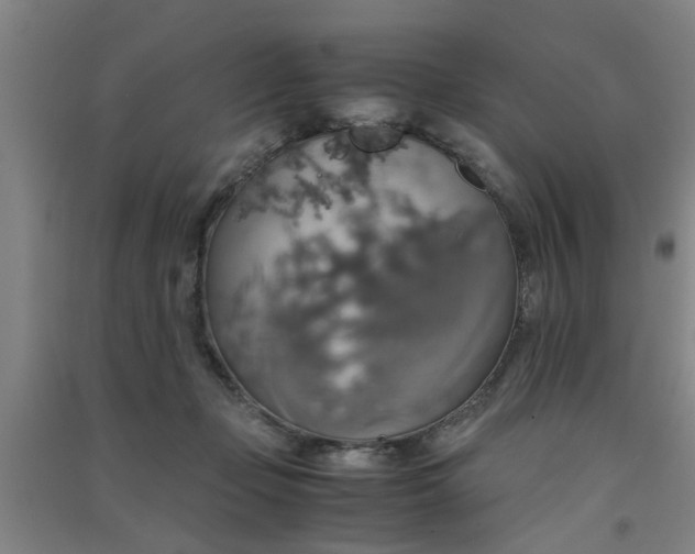 X0000091550365200708171310