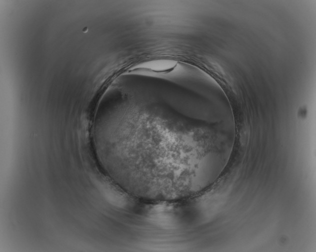 X0000091550366200708171310