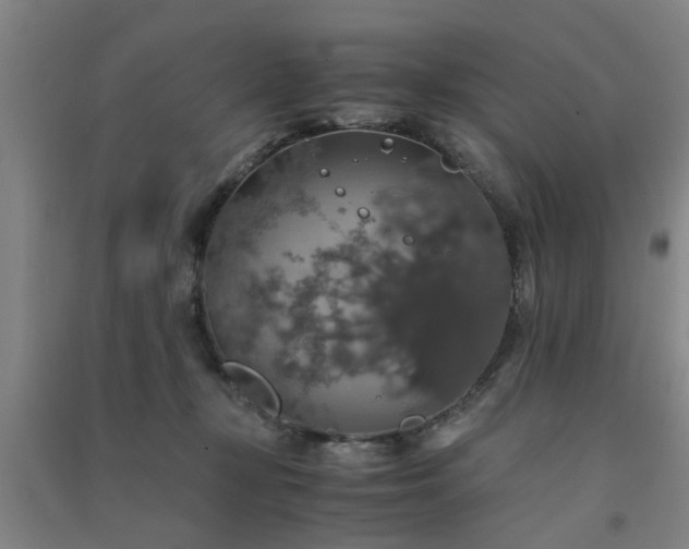 X0000091550367200708171310