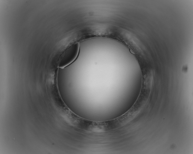 X0000091550368200708171310