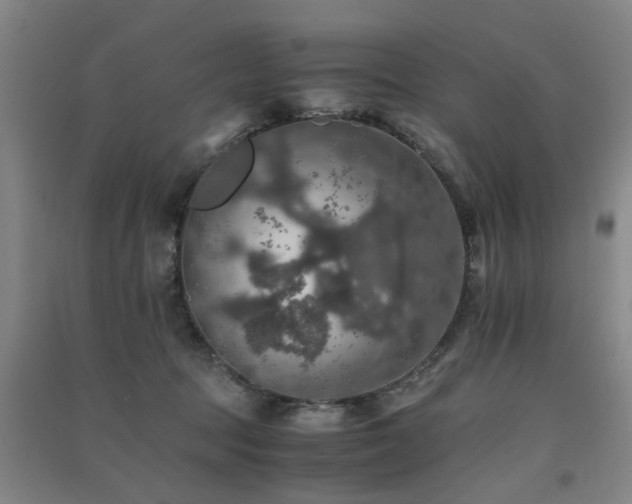 X0000091550369200708171310