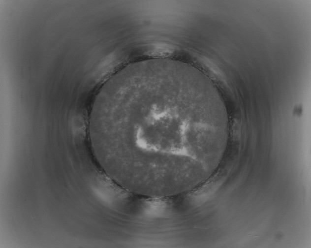 X0000091550370200708171310