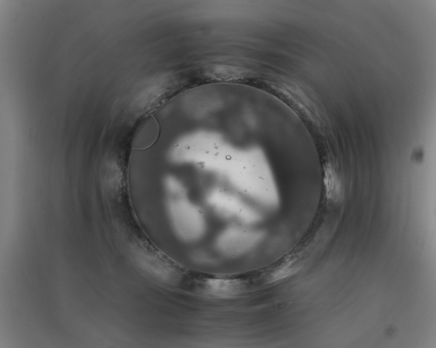 X0000091550371200708171310