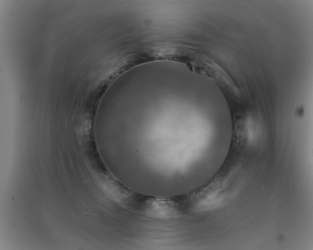 X0000091550372200708171310