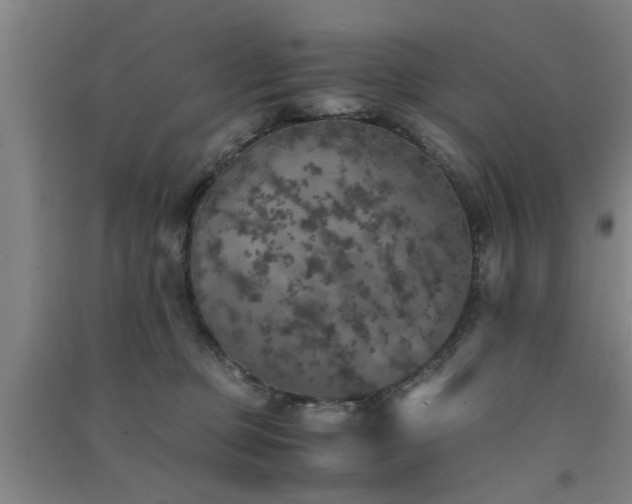 X0000091550373200708171310
