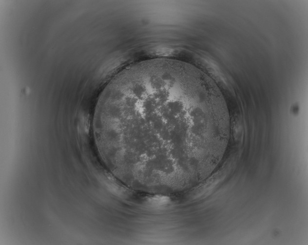 X0000091550374200708171310