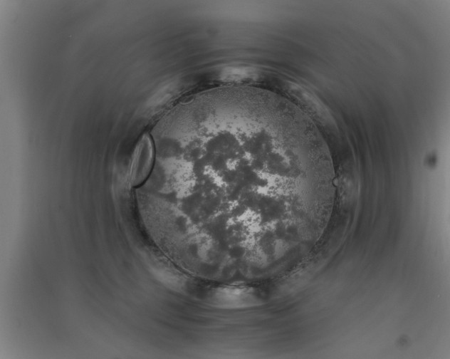 X0000091550375200708171310