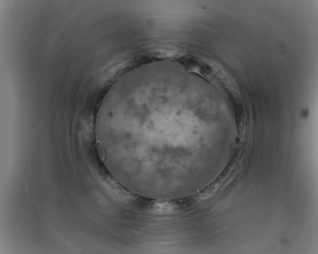 X0000091550376200708171310