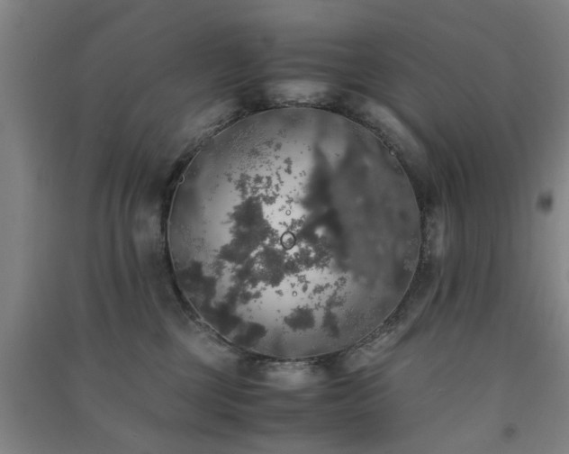 X0000091550377200708171310