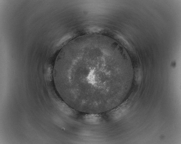 X0000091550378200708171310