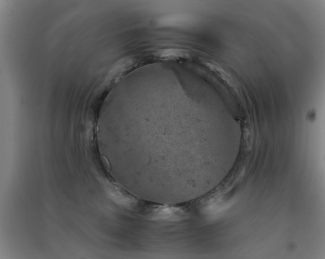 X0000091550379200708171310