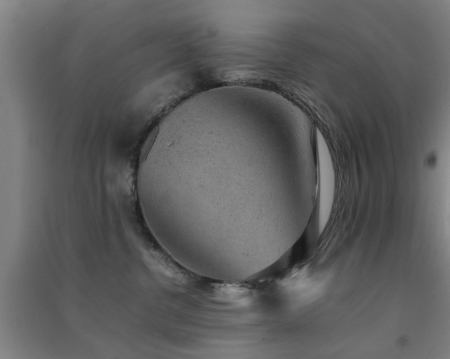 X0000091550380200708171310