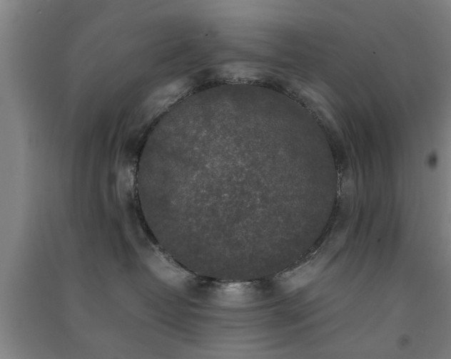 X0000091550382200708171310