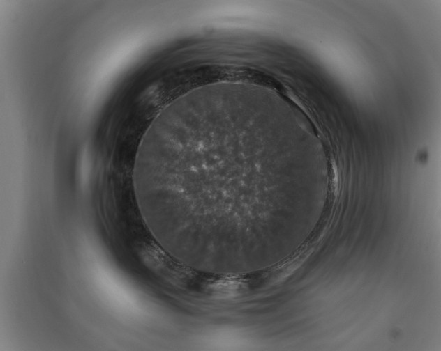X0000091550383200708171310