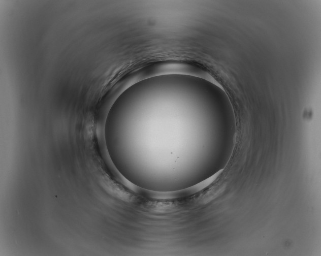 X0000091550384200708171310
