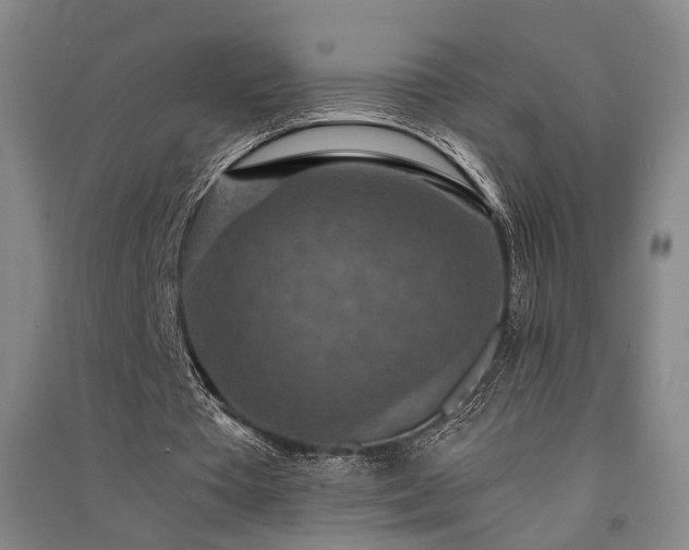 X0000091550385200708171309