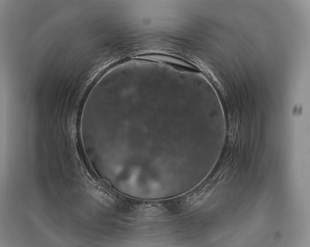 X0000091550386200708171309
