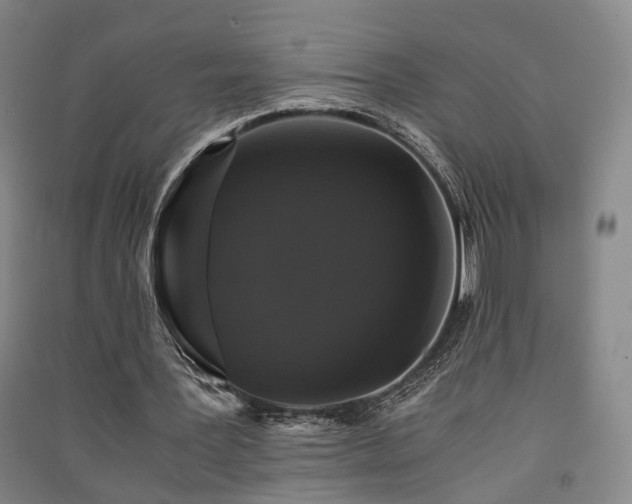 X0000091550387200708171309