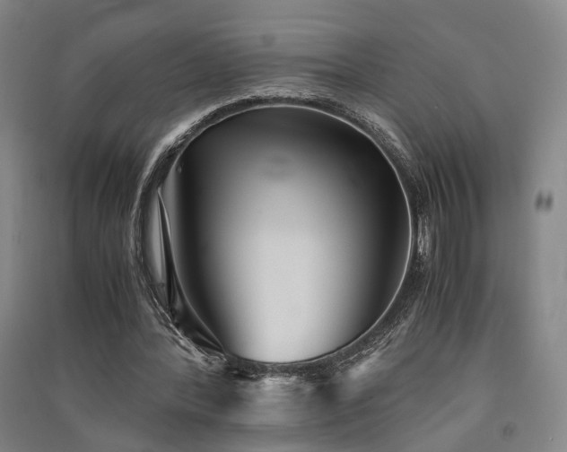 X0000091550388200708171309