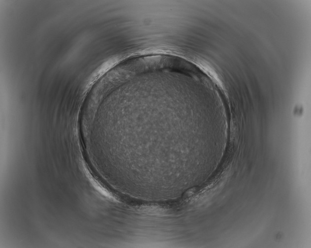 X0000091550389200708171309