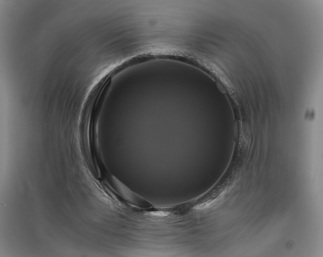 X0000091550391200708171309