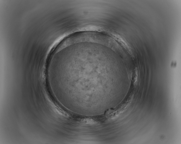 X0000091550392200708171309