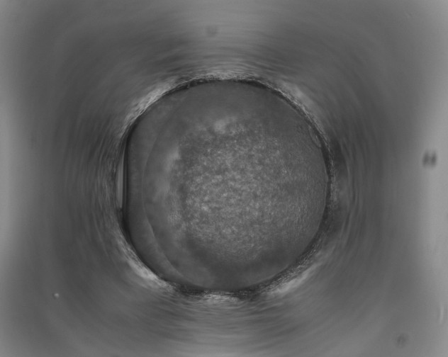 X0000091550393200708171309