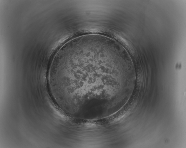 X0000091550394200708171309