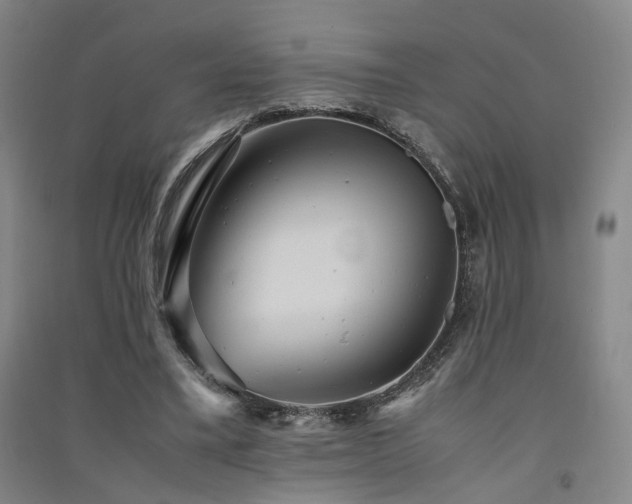 X0000091550395200708171309